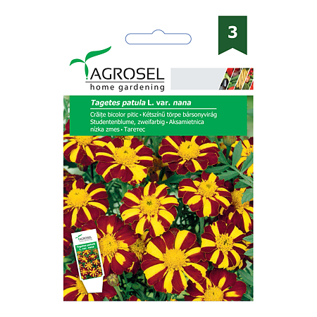 Seminte de craite bicolor pitic, Agrosel